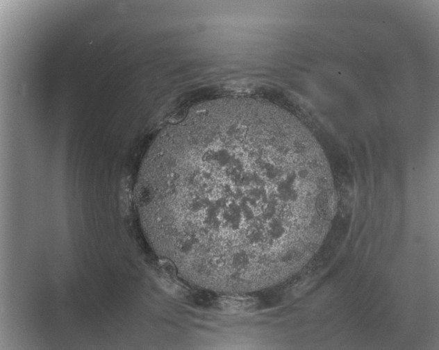 X0000074970707200609152122