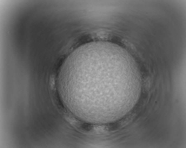 X0000074970709200609152122