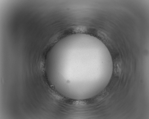 X0000074970714200609152122