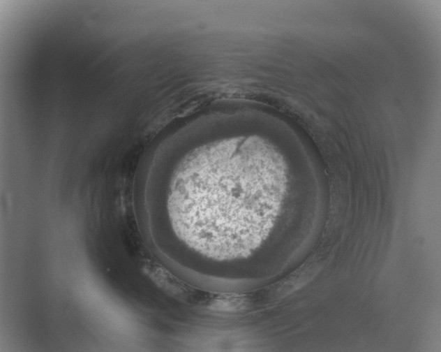 X0000074970720200609152122