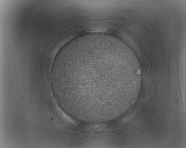 X0000074970721200609152121