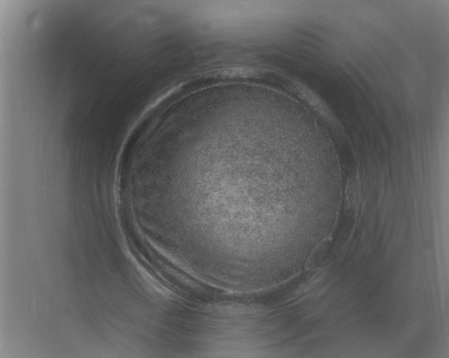 X0000074970722200609152121