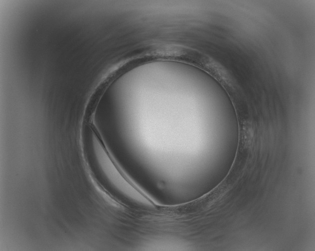 X0000074970726200609152122