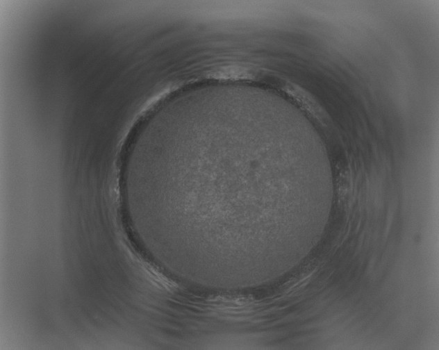 X0000074970727200609152122