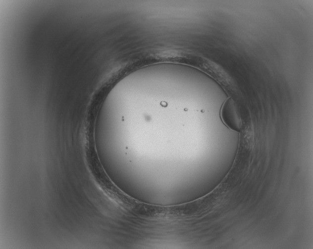 X0000074970732200609152122