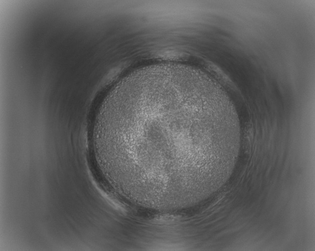 X0000074970734200609152122