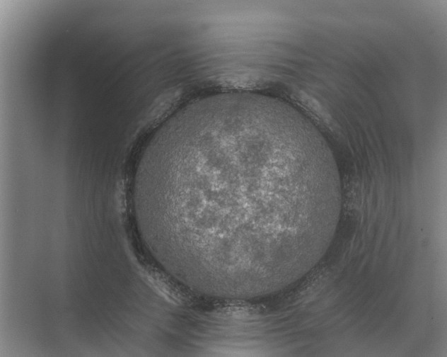 X0000074970738200609152122