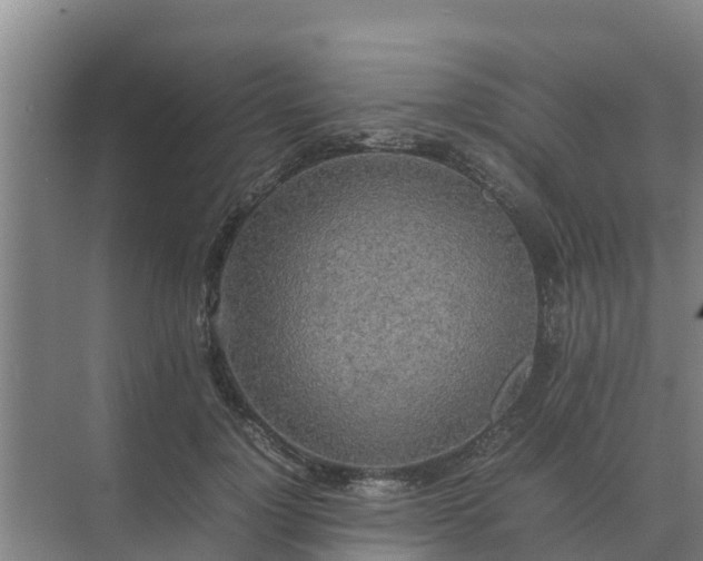 X0000074970748200609152122