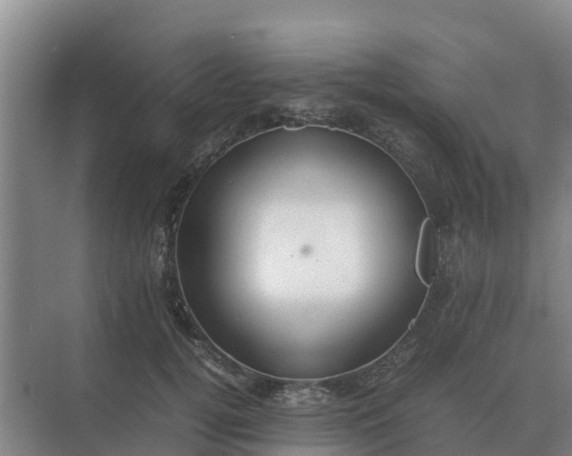 X0000074970752200609152122