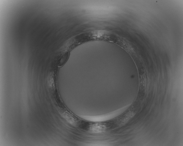 X0000074970754200609152122