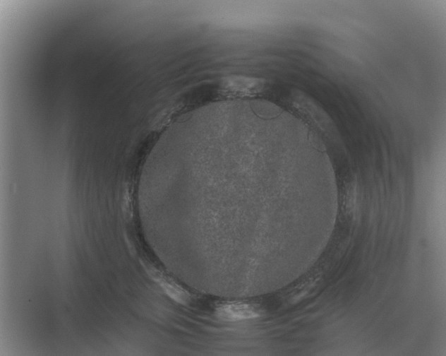 X0000074970759200609152122