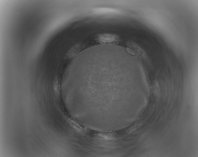 X0000074970763200609152122