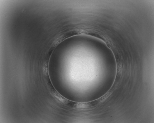 X0000074970766200609152122