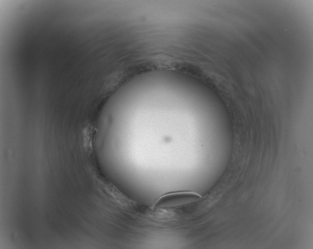 X0000074970768200609152122