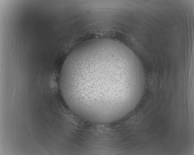 X0000074970770200609152121