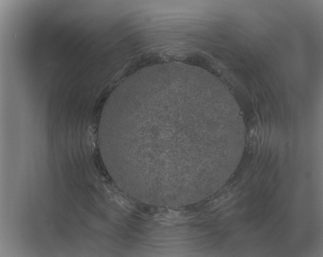 X0000074970772200609152121