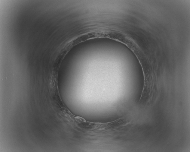 X0000074970773200609152121