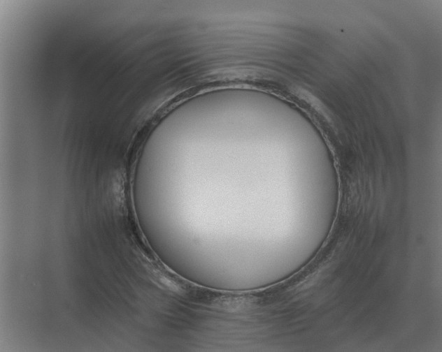 X0000074970778200609152121