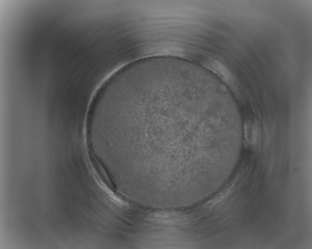 X0000074970780200609152121