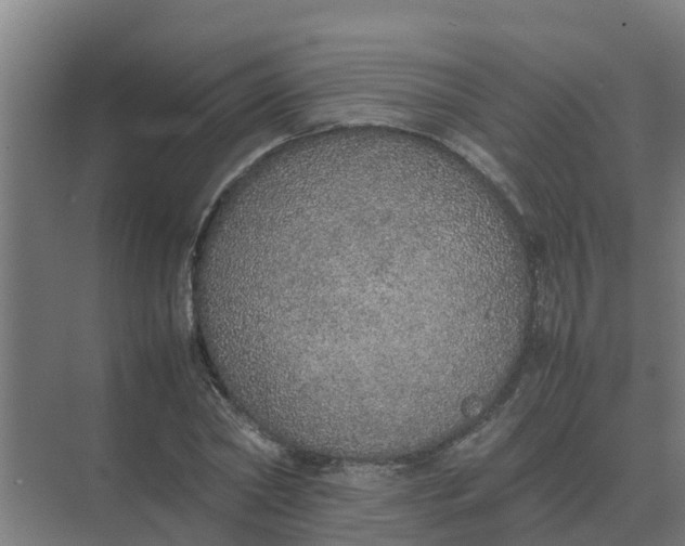 X0000074970782200609152121