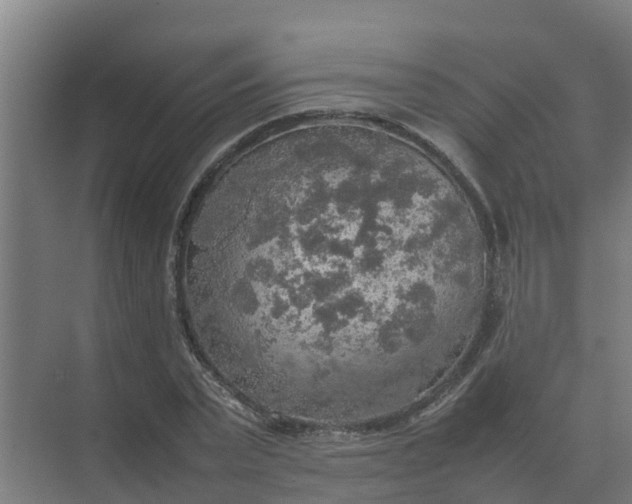 X0000074970783200609152121