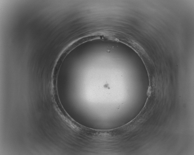 X0000074970784200609152121