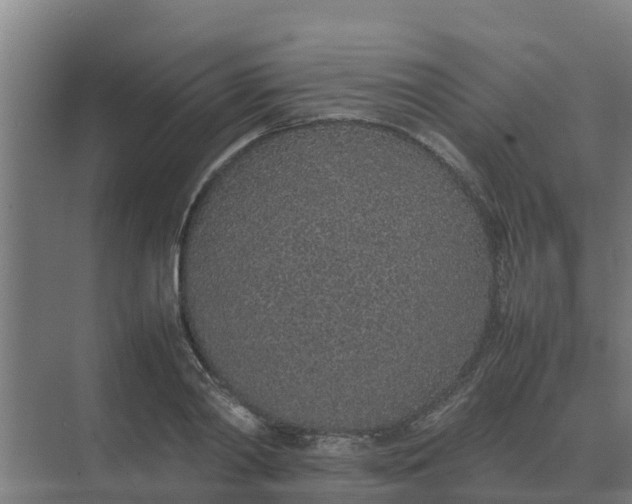 X0000074970790200609152121