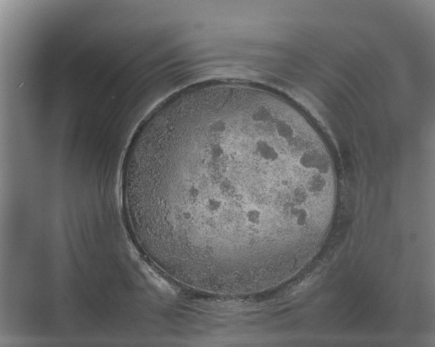 X0000074970791200609152121