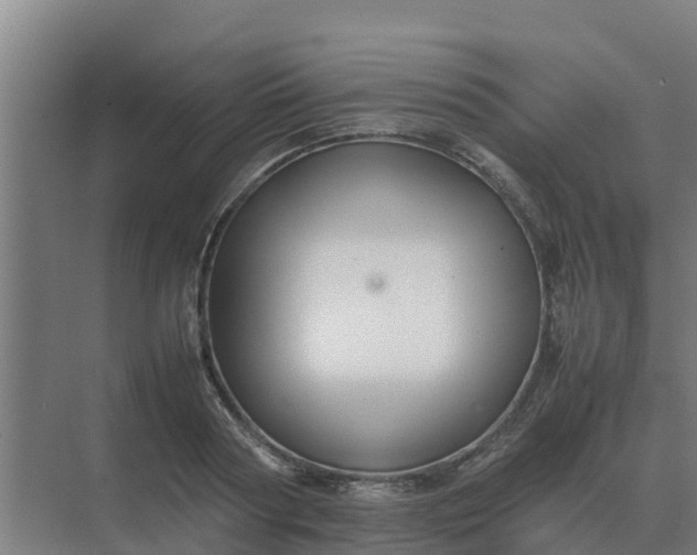 X0000074970794200609152121