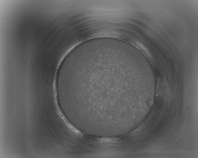 X0000074970796200609152121