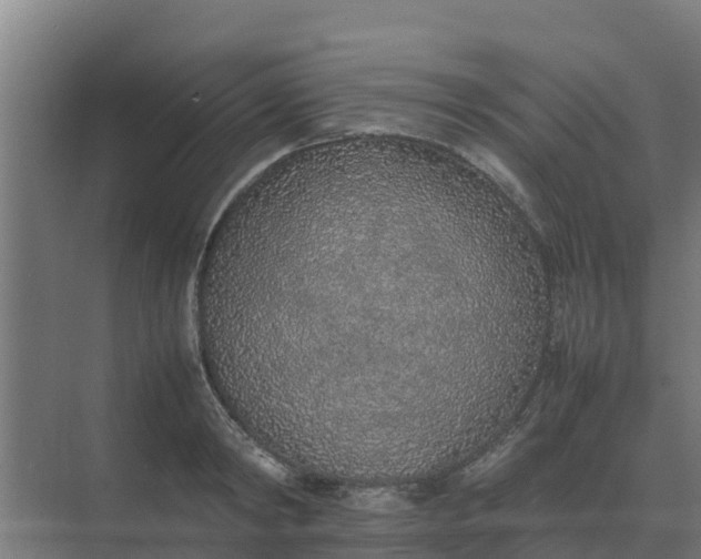 X0000074970798200609152121