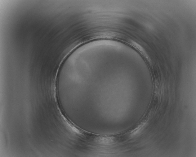 X0000074970802200609152121