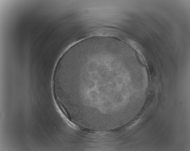 X0000074970803200609152121