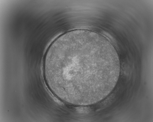 X0000074970804200609152121