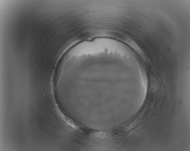 X0000074970806200609152121