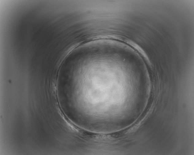 X0000074970809200609152121