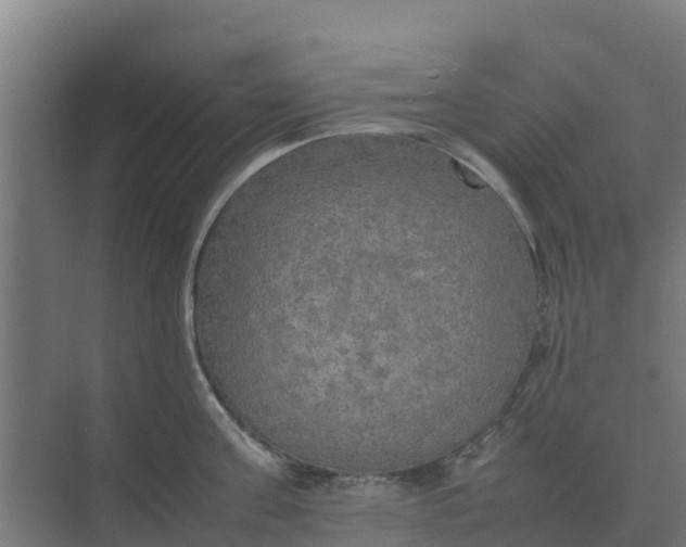 X0000074970811200609152121