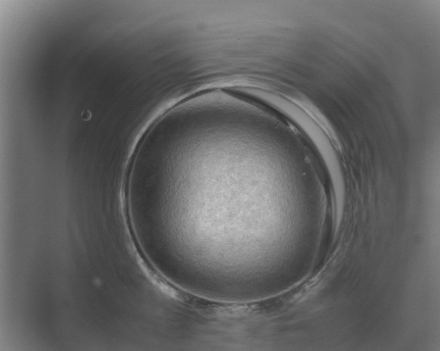 X0000074970813200609152121