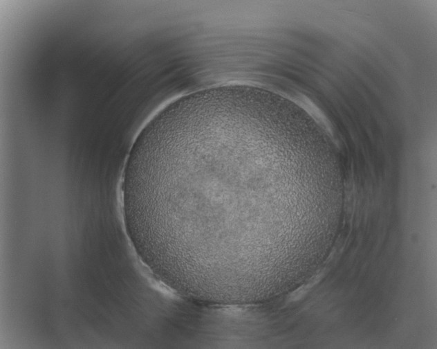 X0000074970814200609152121