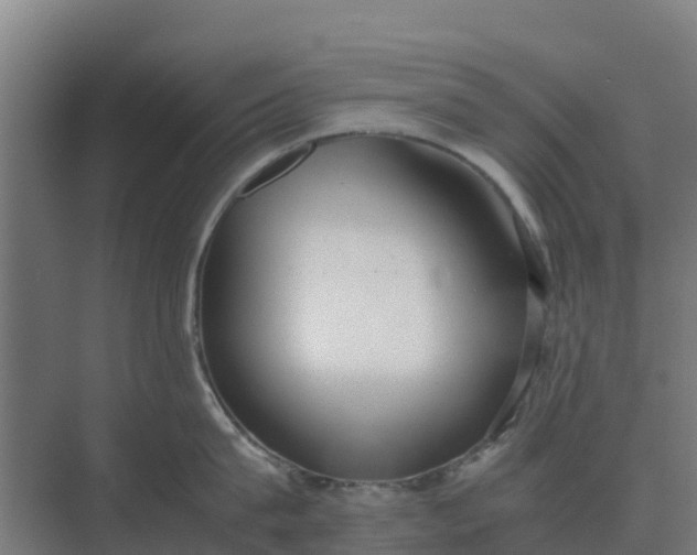 X0000074970815200609152121