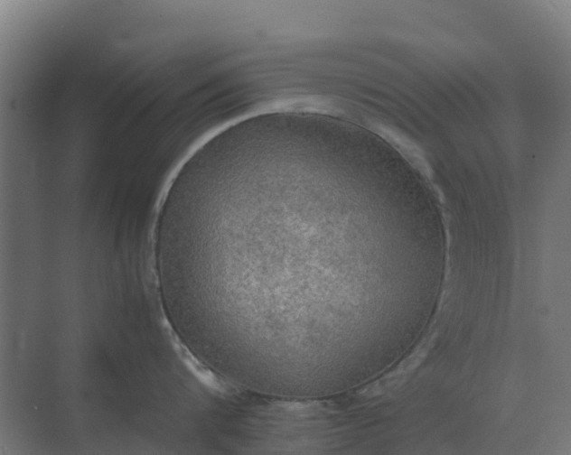 X0000074970816200609152121