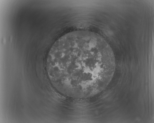 X0000074970817200609152120