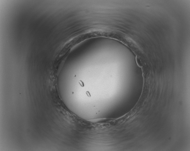 X0000074970822200609152120