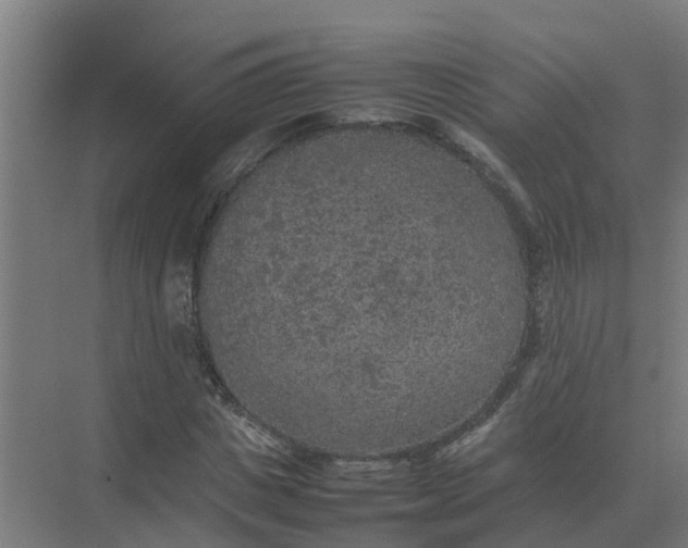 X0000074970825200609152120