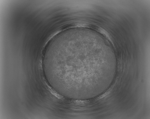 X0000074970827200609152120