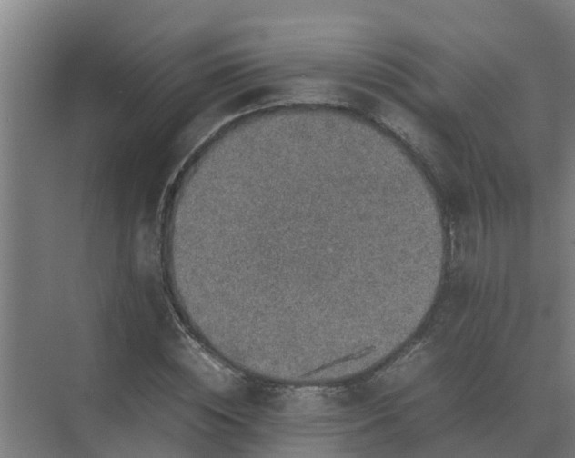 X0000074970828200609152120