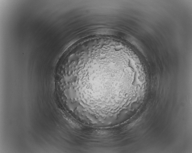 X0000074970829200609152120