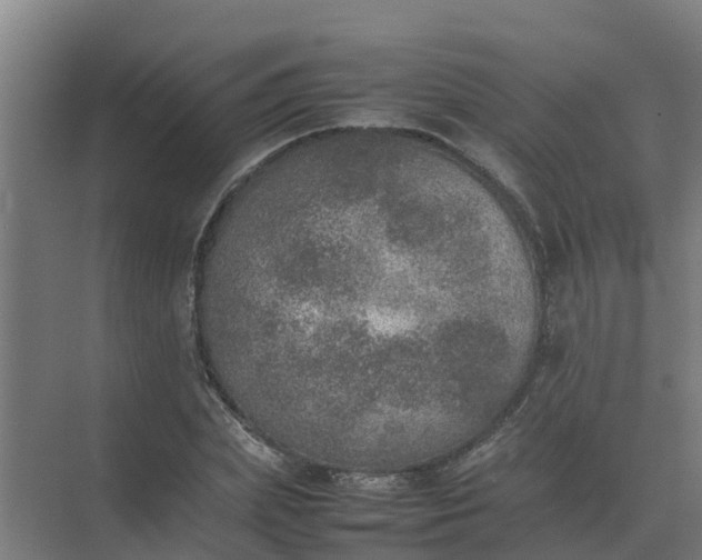 X0000074970831200609152120