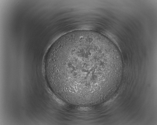 X0000074970835200609152120