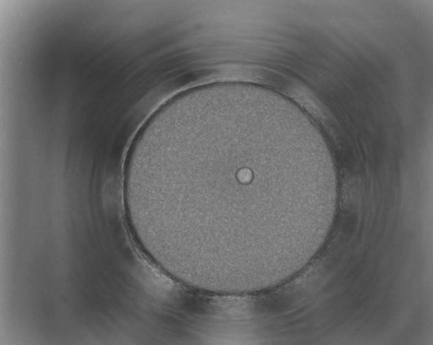 X0000074970836200609152120